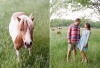 indiana engagement session with dogs and horses_0004